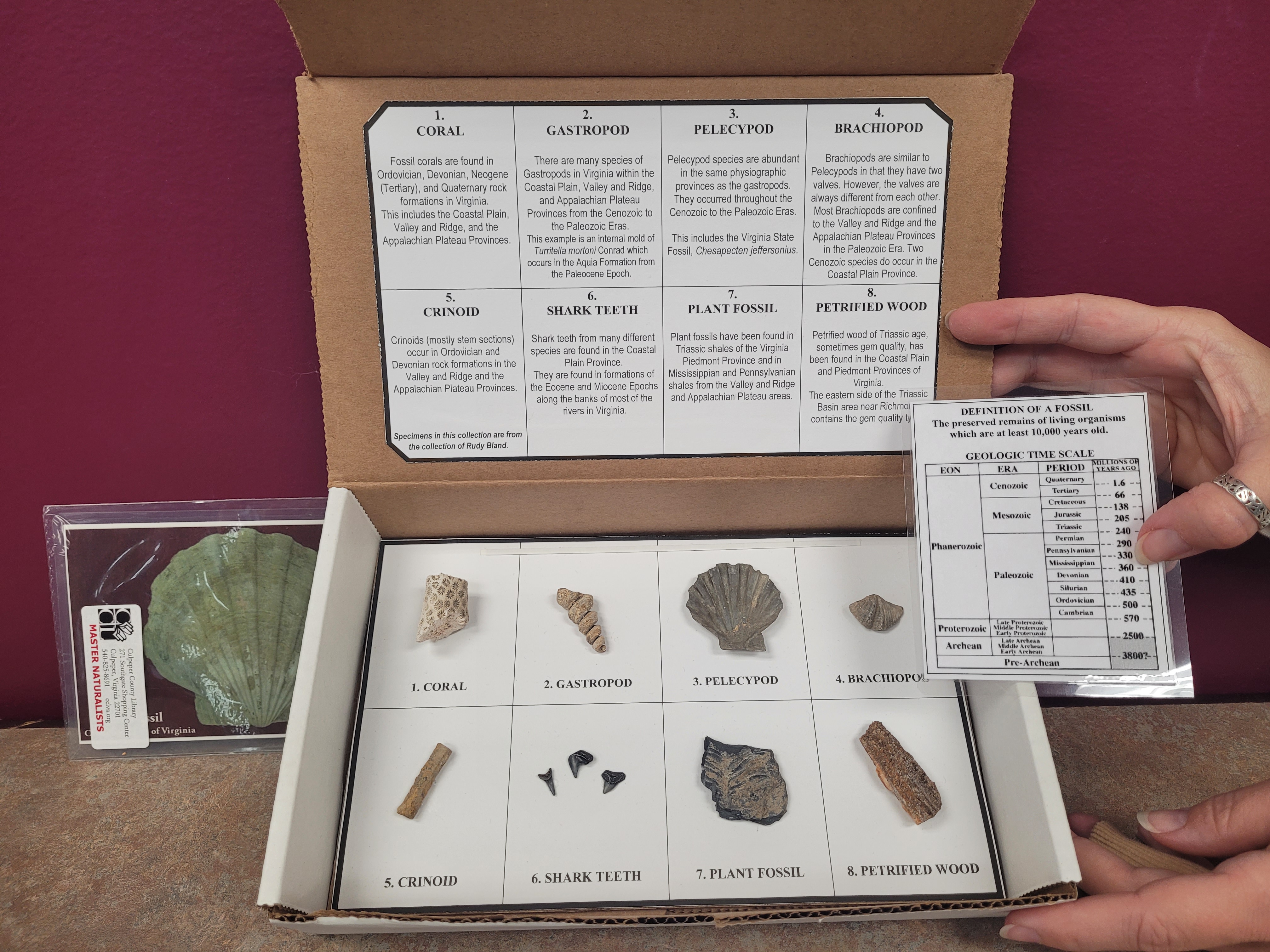 Fossil Kit Library of Things