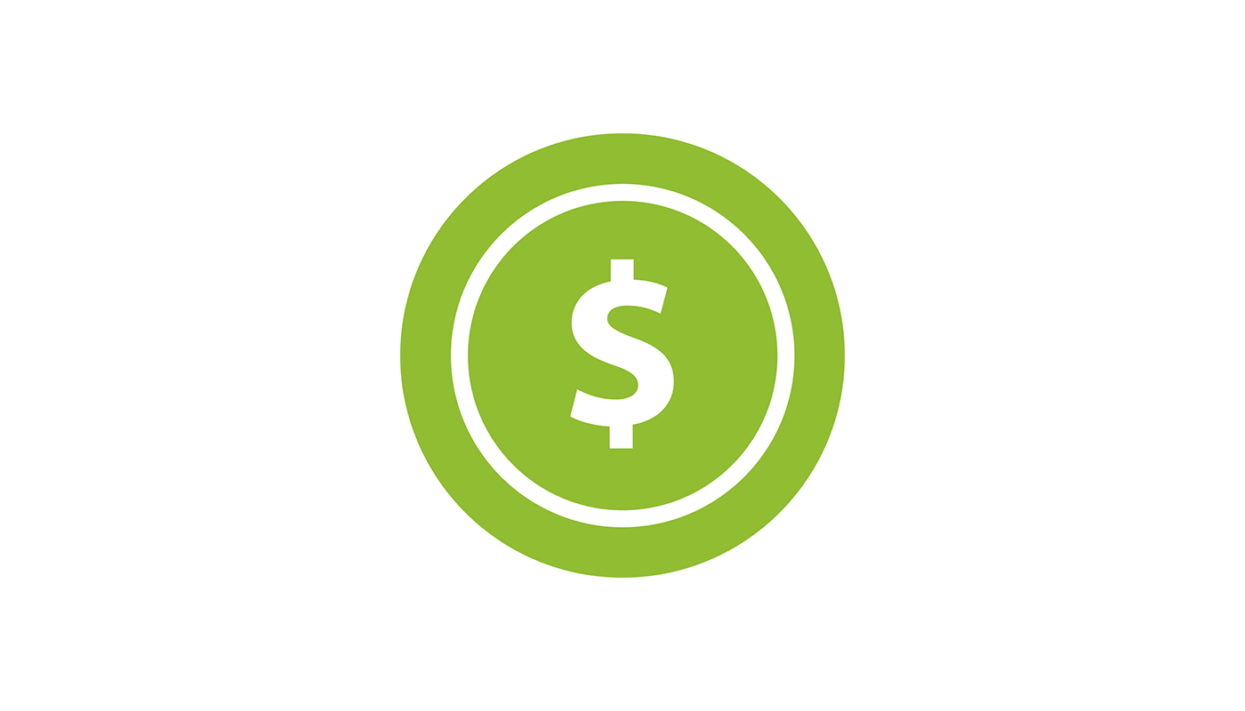 Money sign icon