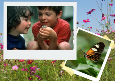 Two children holding a frog. A butterfly on a leaf.